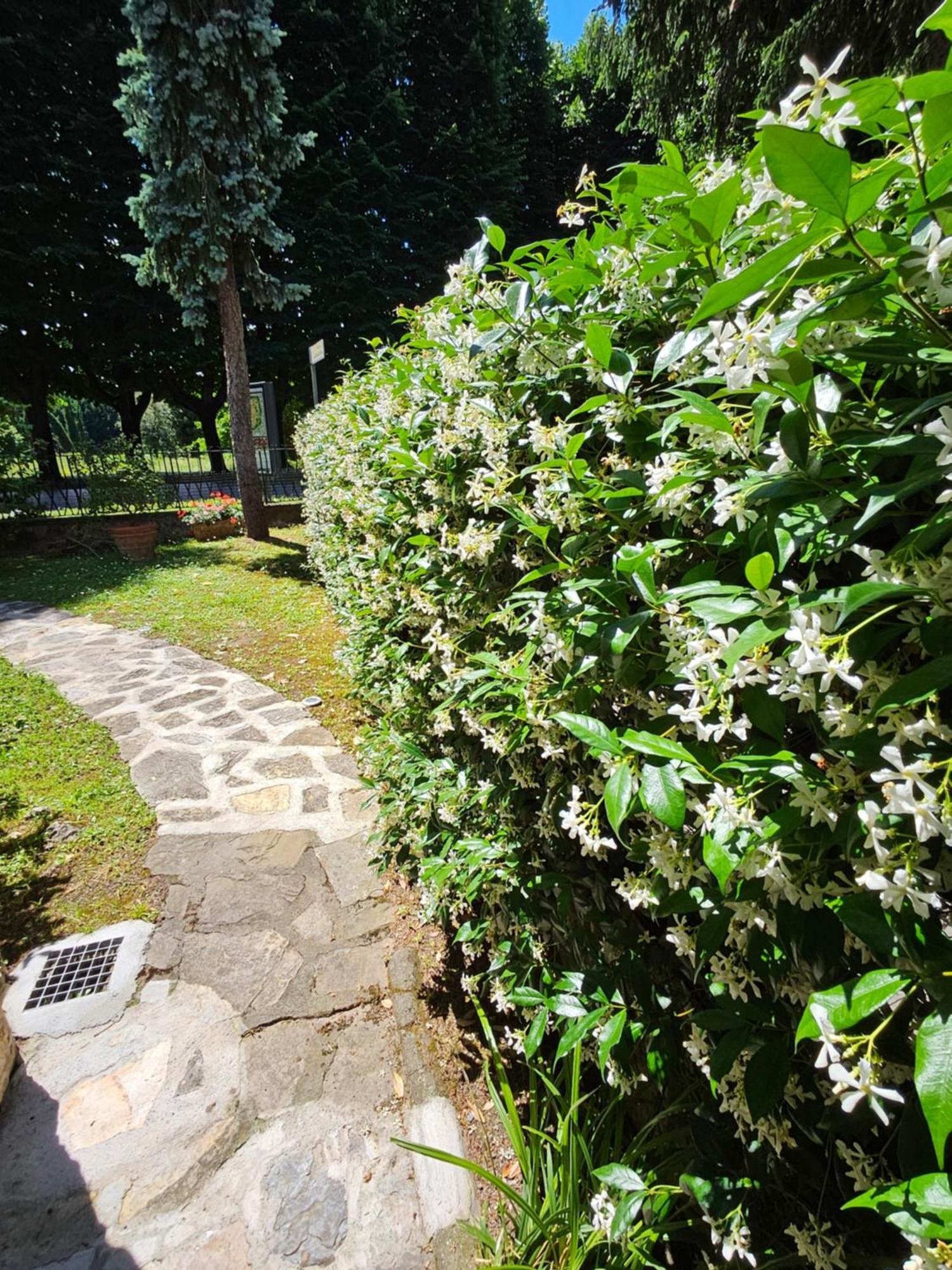 B&B Casa Tessieri Lucca Bagian luar foto